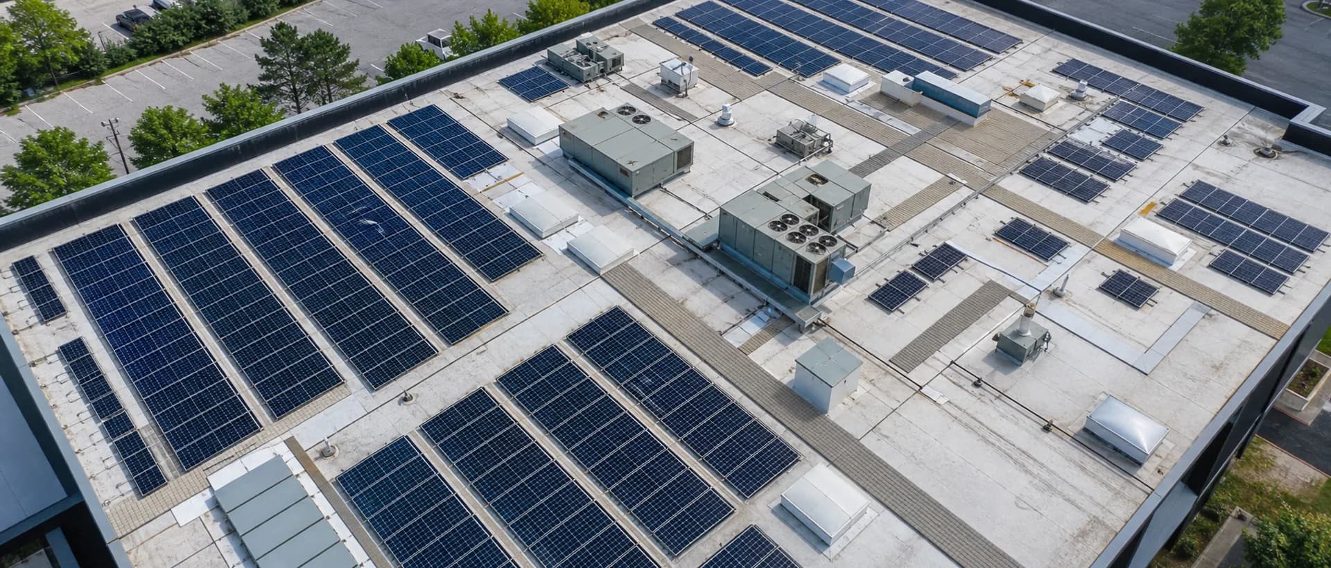 How to choose solar modules for distribution and project supply