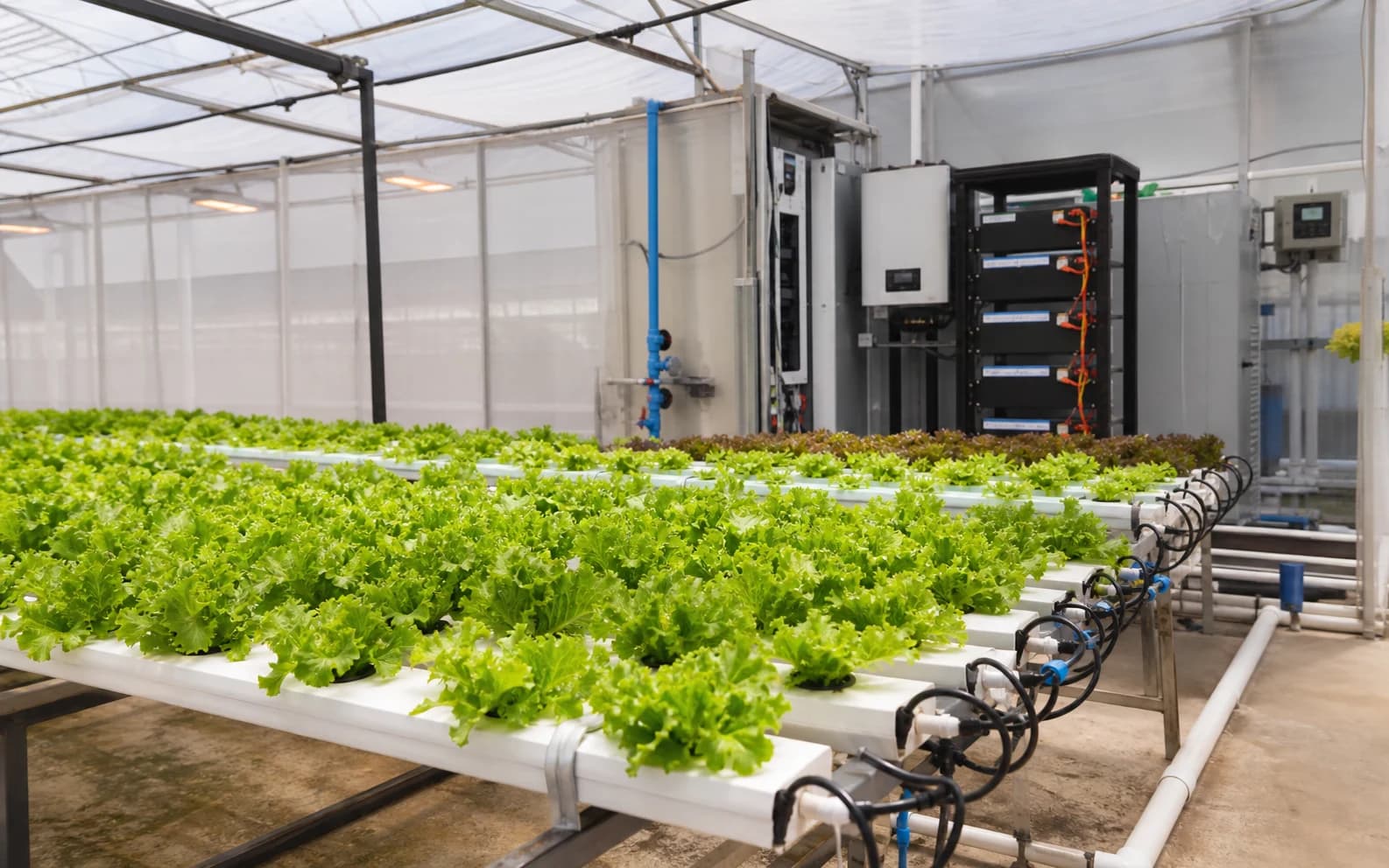 Illustrative equipment configuration for Hydroponic Greenhouse Solar + Storage Supply Case — Mauritius